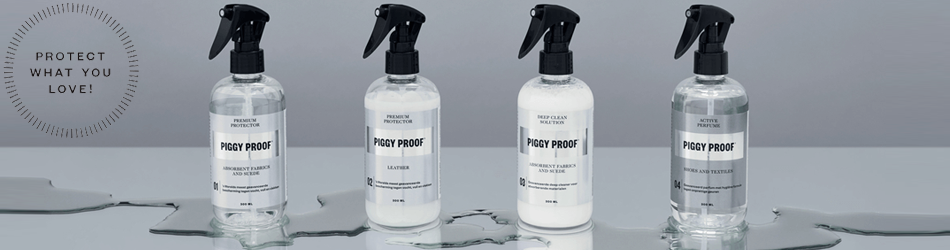Piggy Proof Piggy Proof