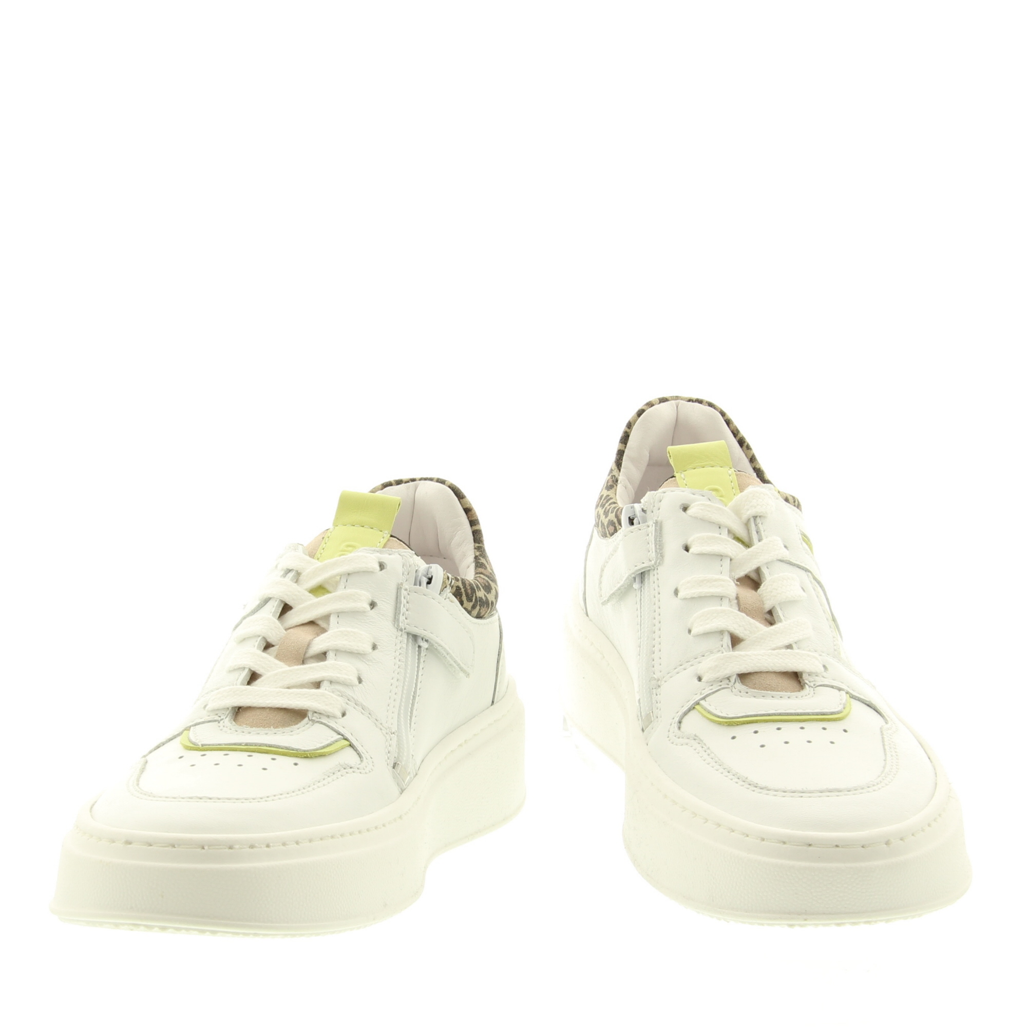 Giga G4136 A11A14 Opt.White Cel.Juice