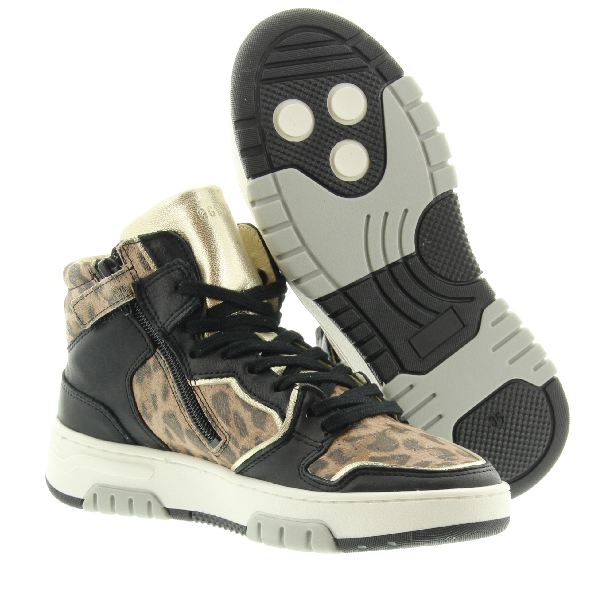 Giga G4455 A36B12 Black Platino