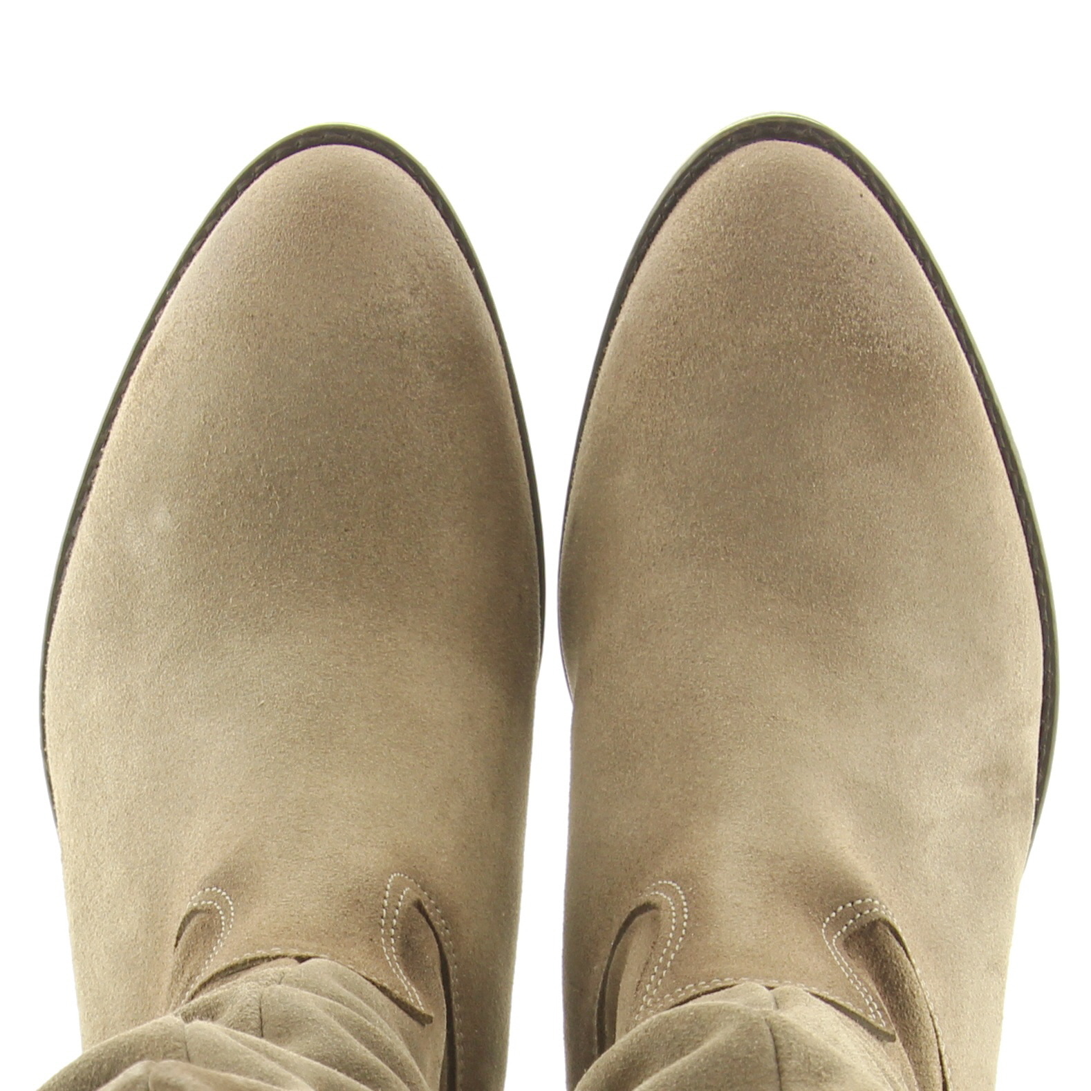 AQA A8815 A54.000 Dodo