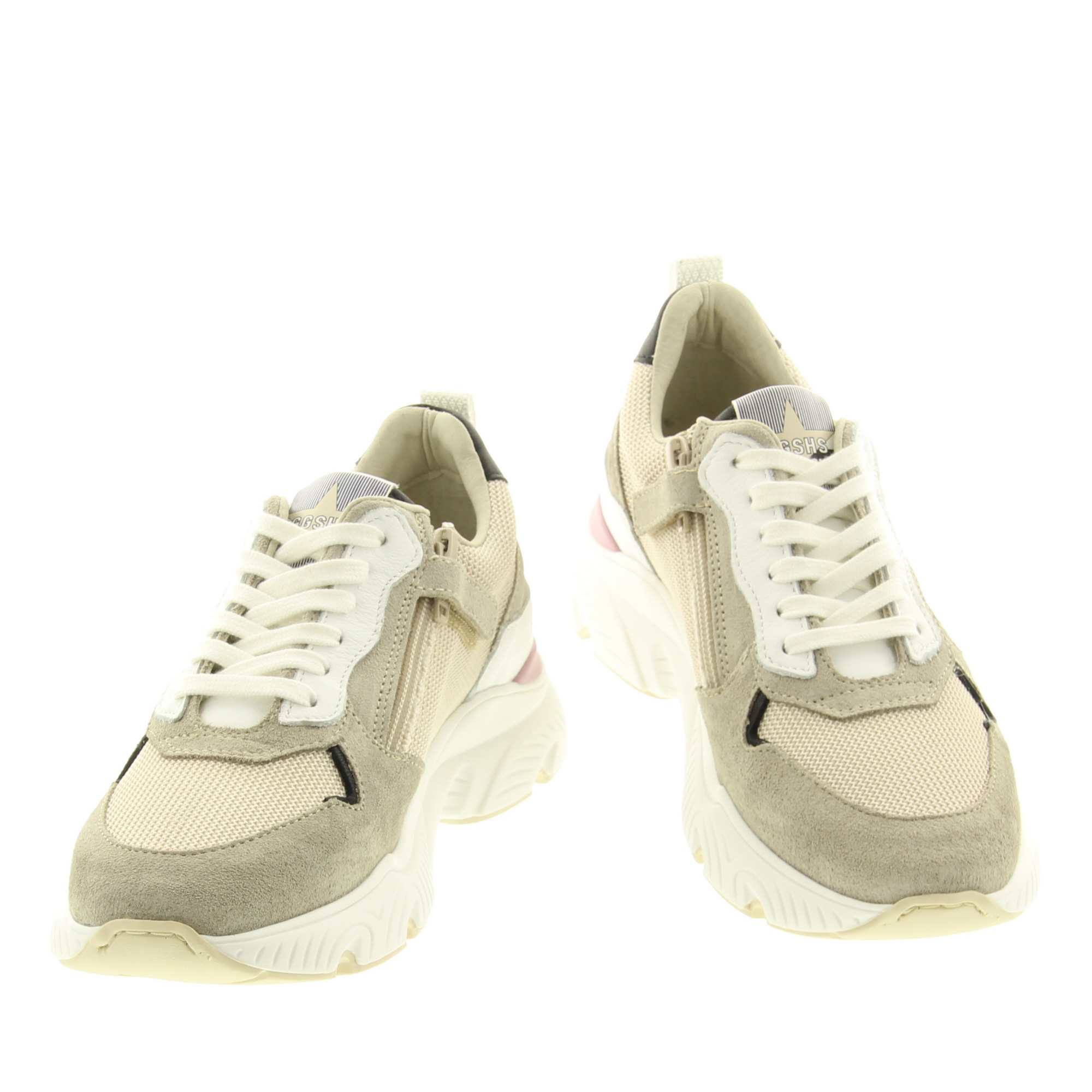 Giga G4101 A81D13 Gray Dragon