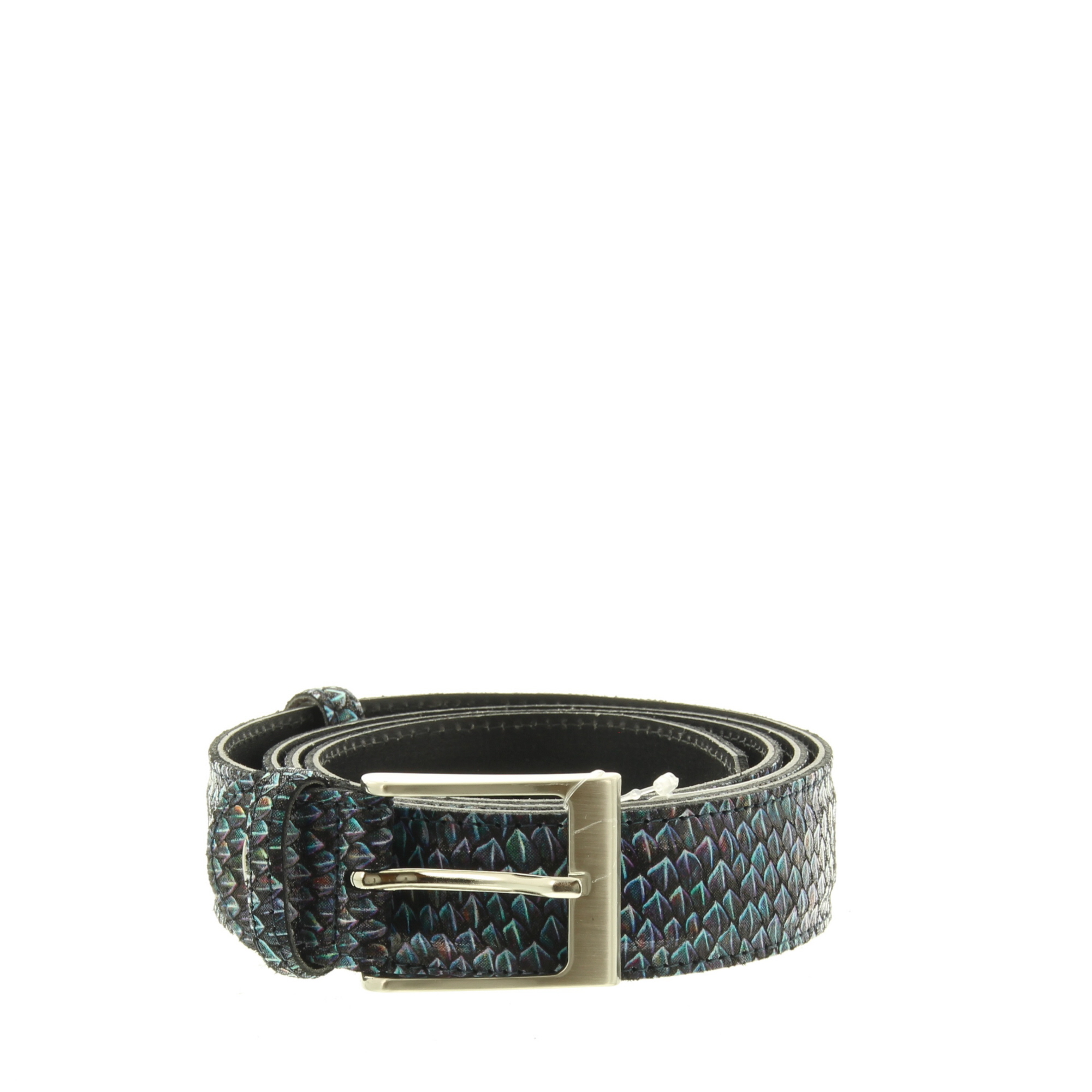 Berkelmans 222BELT193 Navy Tulip