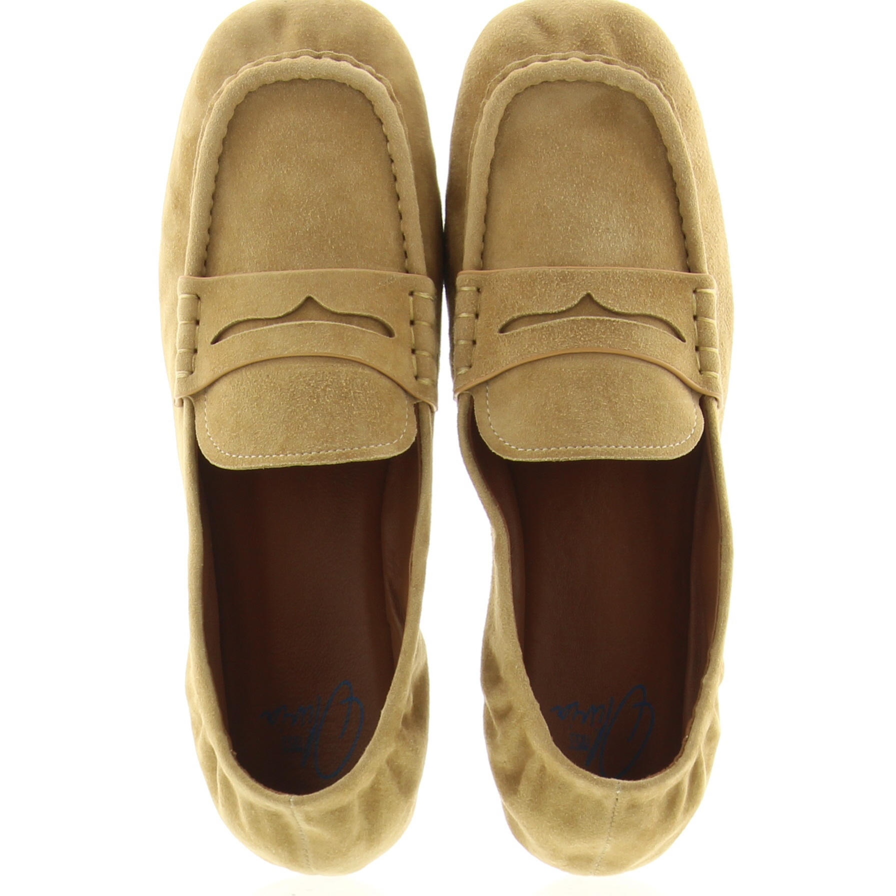 Miss Olivia Ila-A Camel