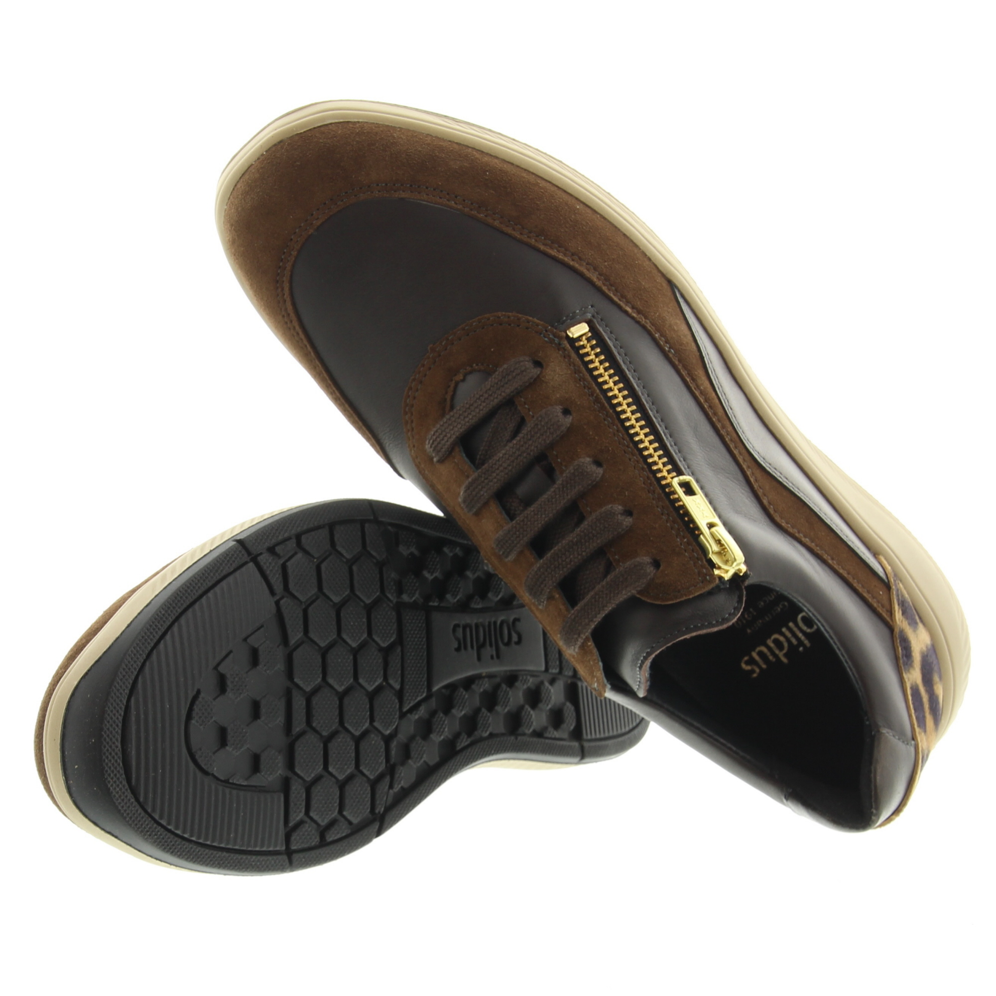 Solidus 56287 Halea 30787 Brown