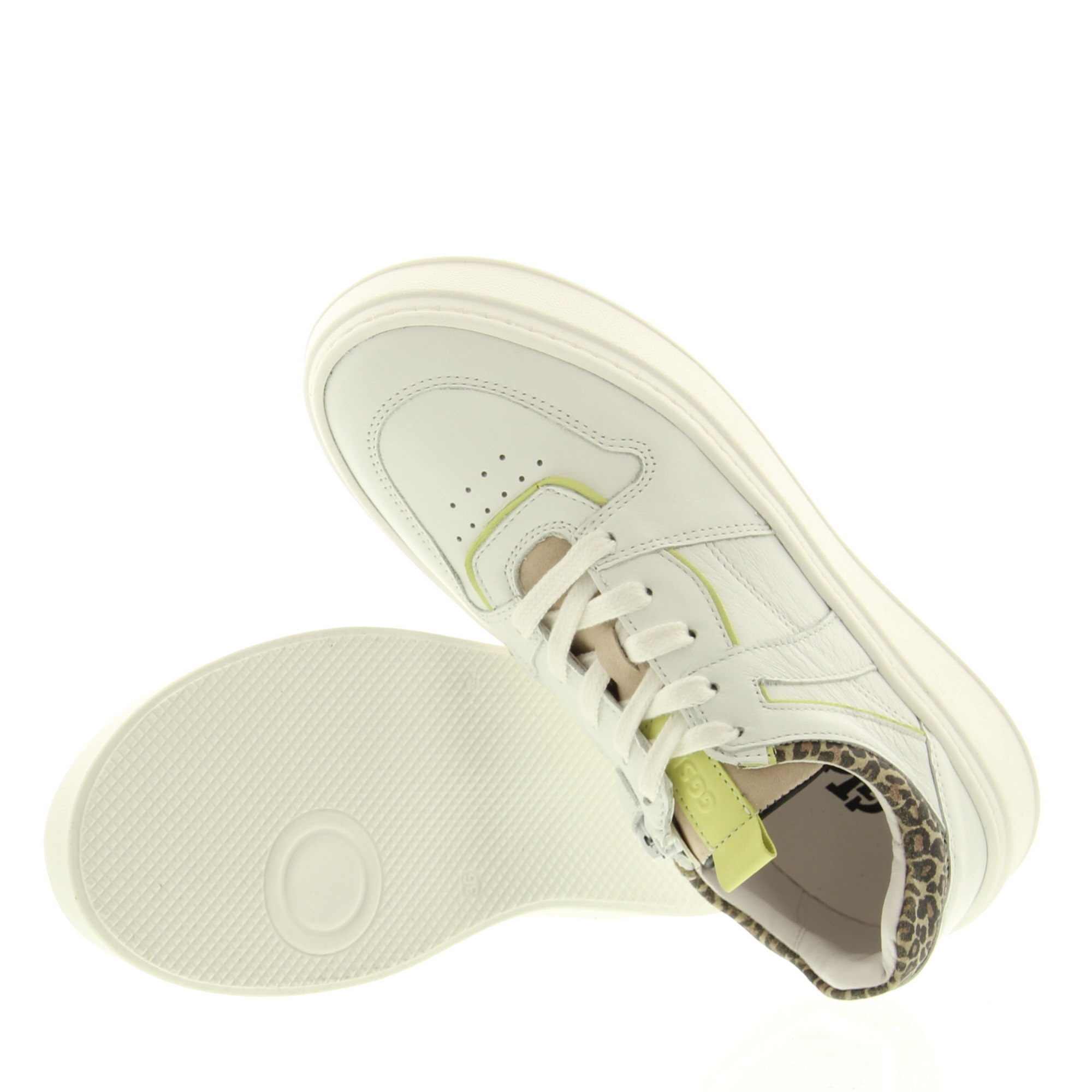 Giga G4136 A11A14 Opt.White Cel.Juice