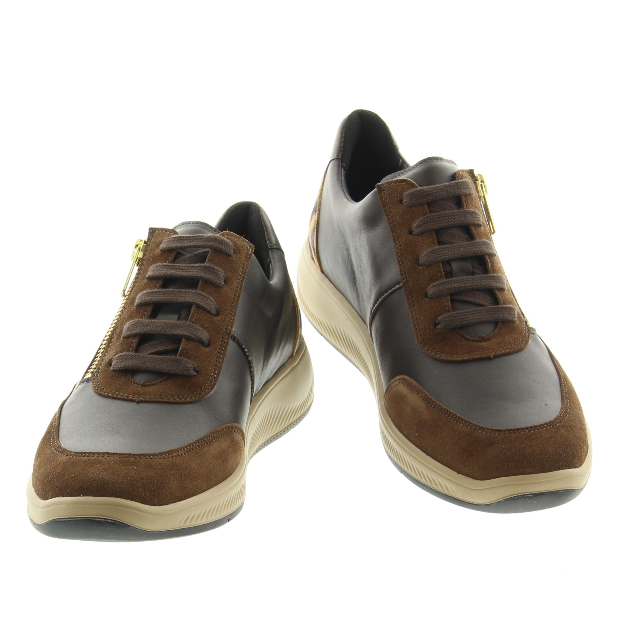 Solidus 56287 Halea 30787 Brown