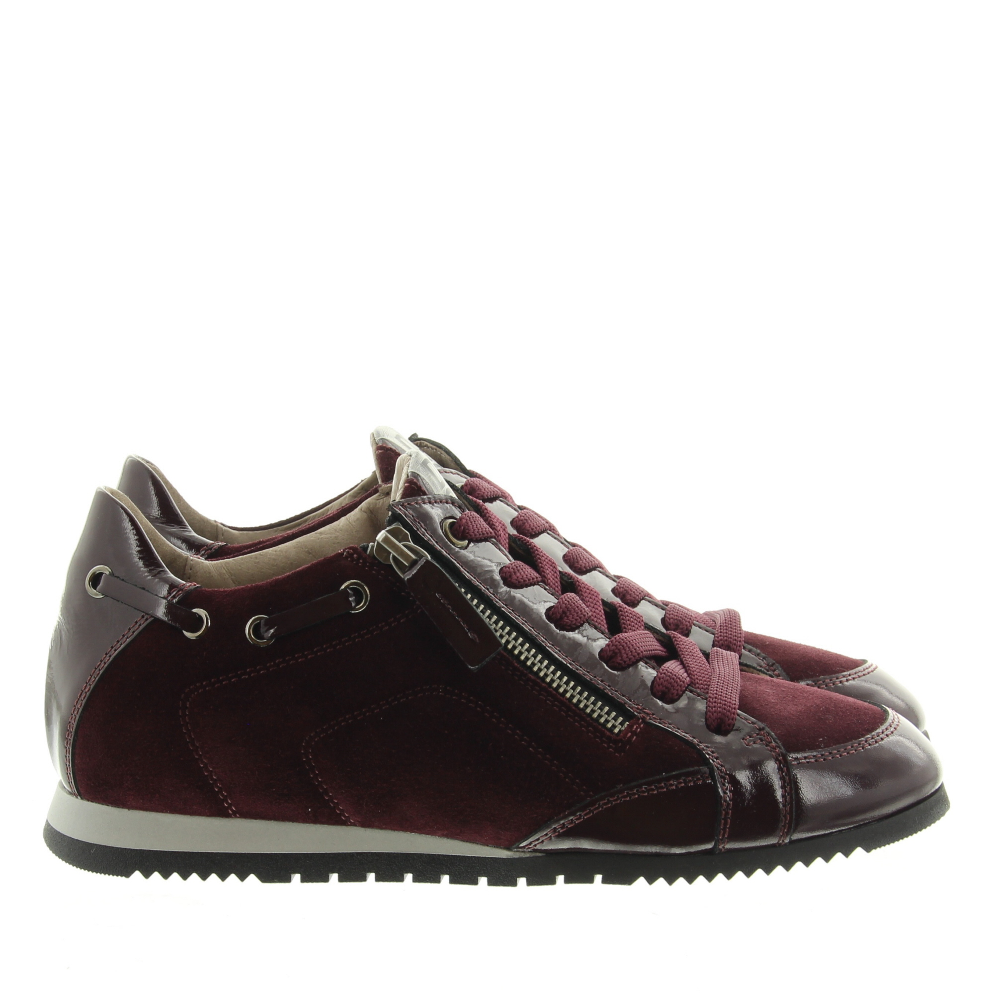 DL Sport 7134H Rubino vers. 07