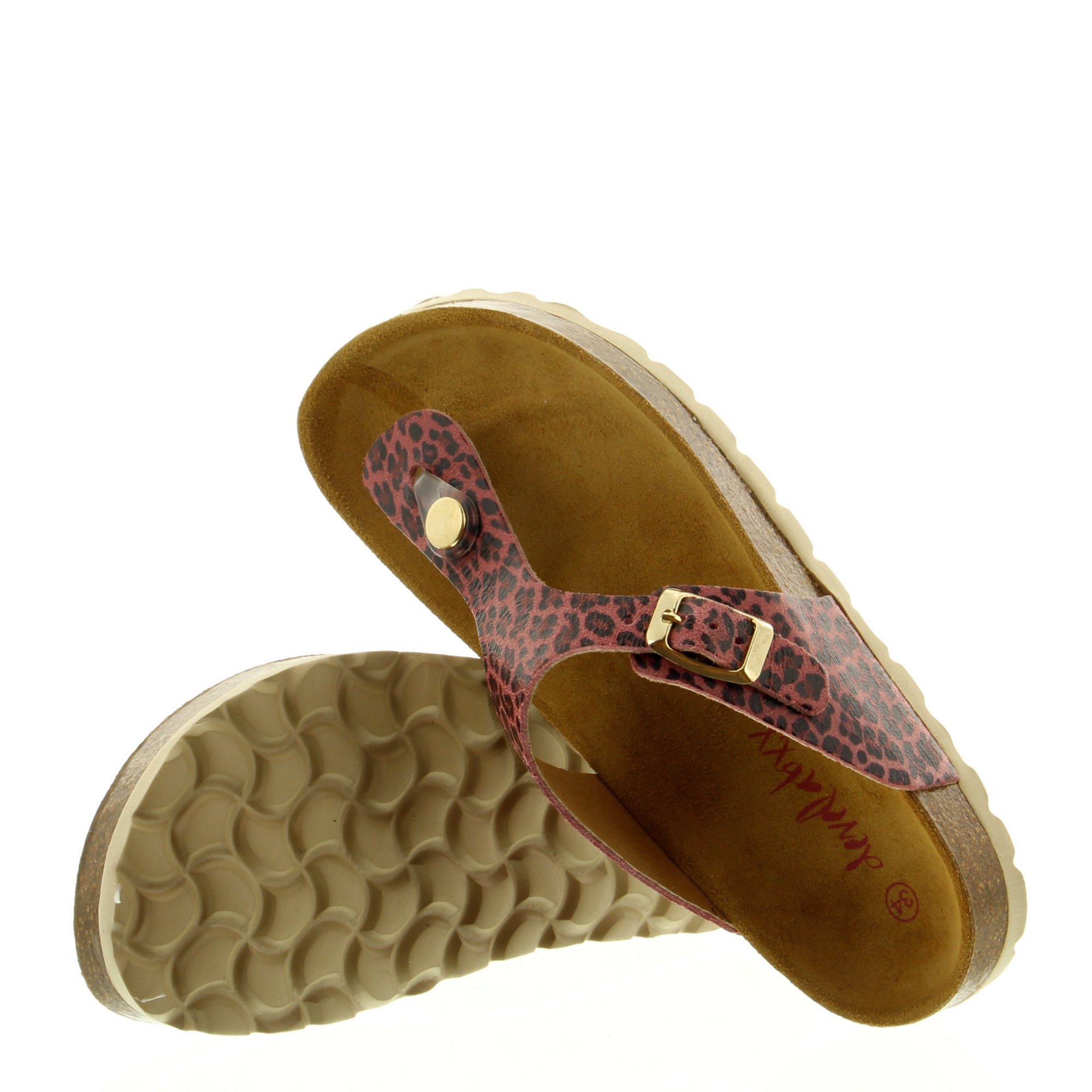 Develab 48202 479 Old Pink Fan