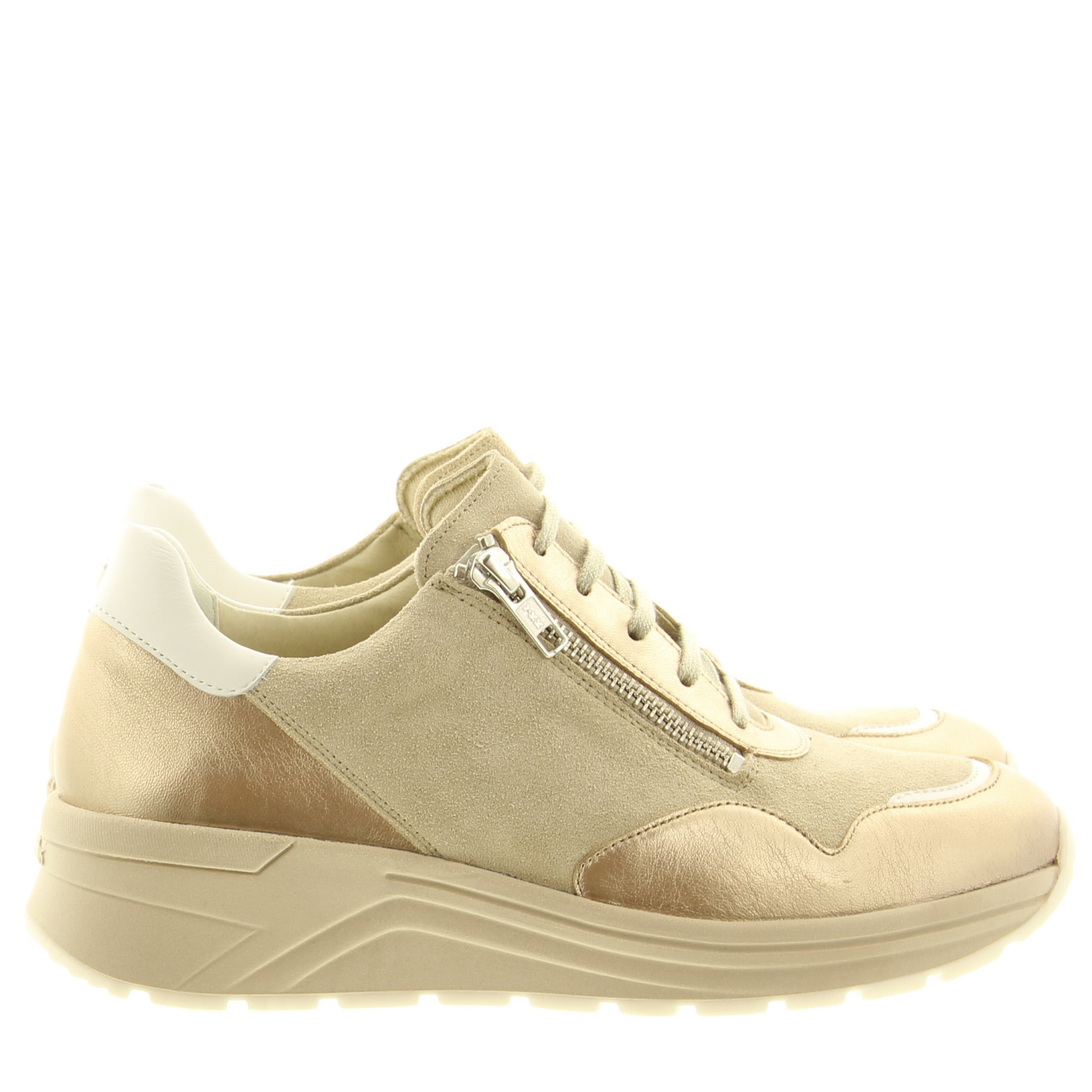 Solidus 59071 Karma 40519 Champagne Multi