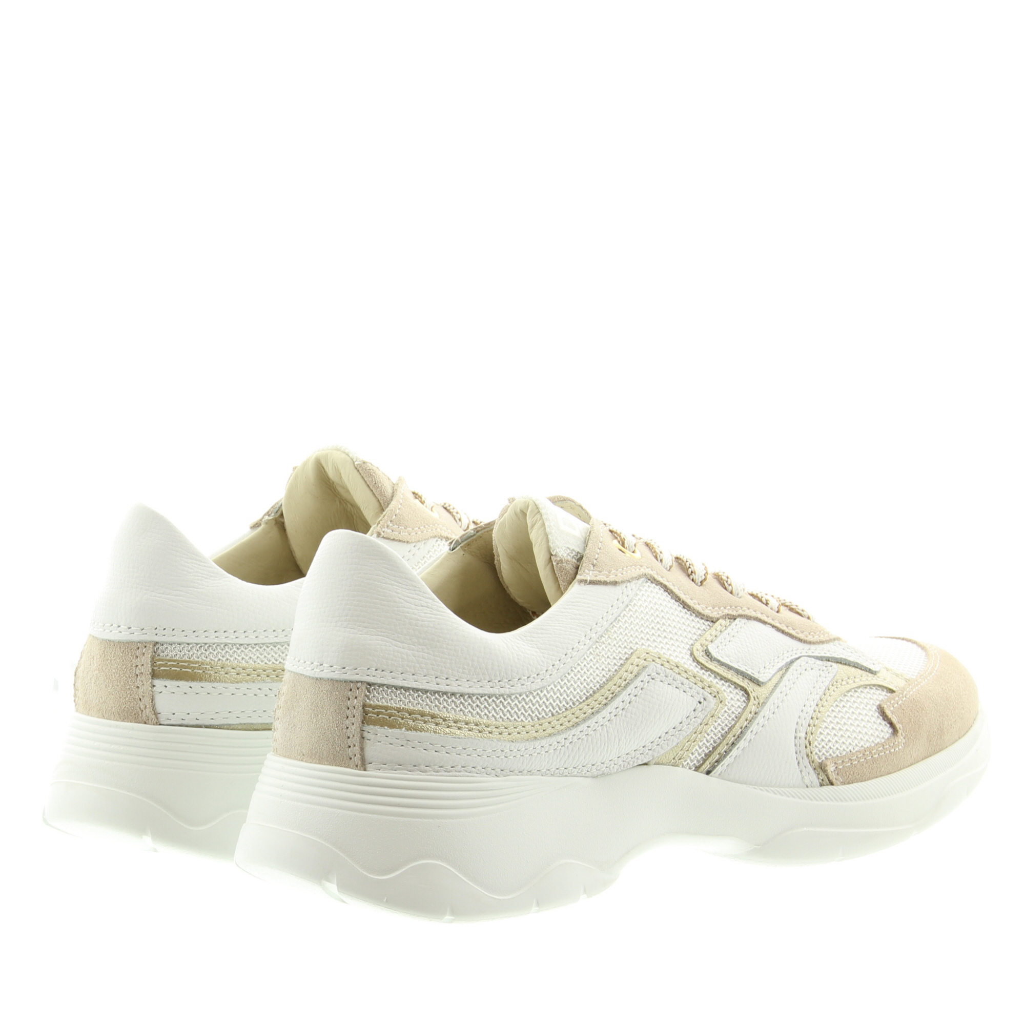 DL Sport 6540 Vers. 01 Sheer