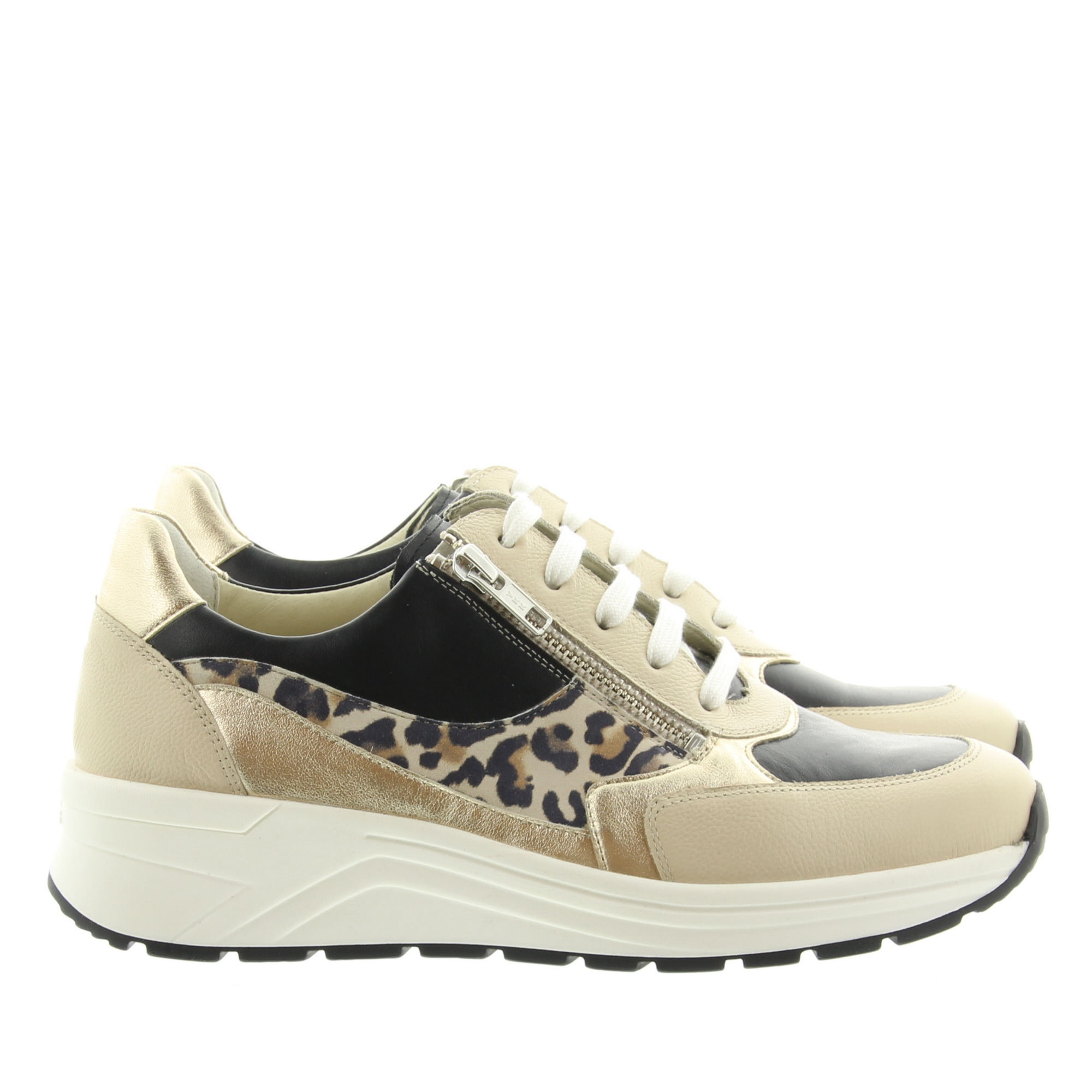 Solidus 46023 Holly Neve Multi Solic