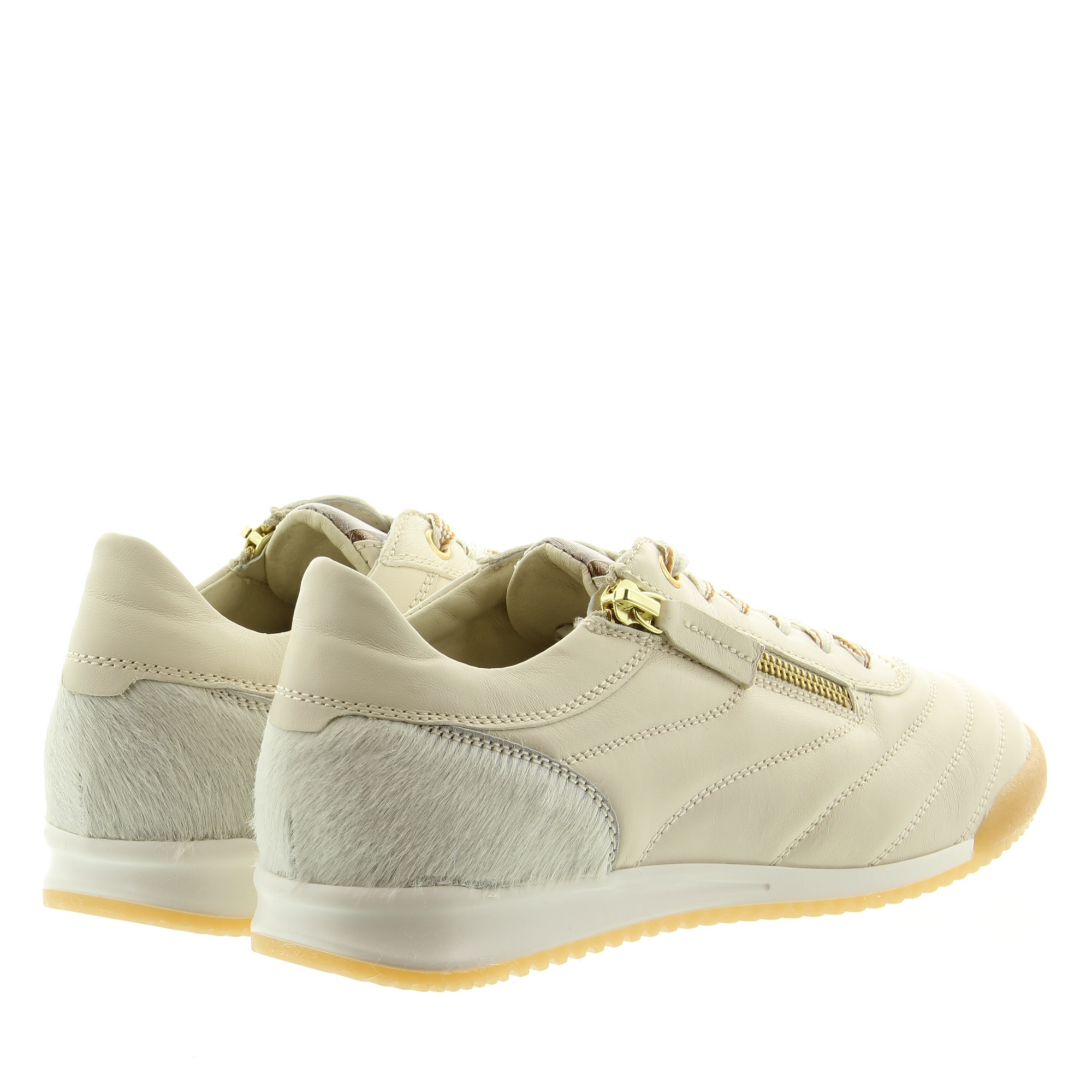 DL Sport 6953 vers. 1