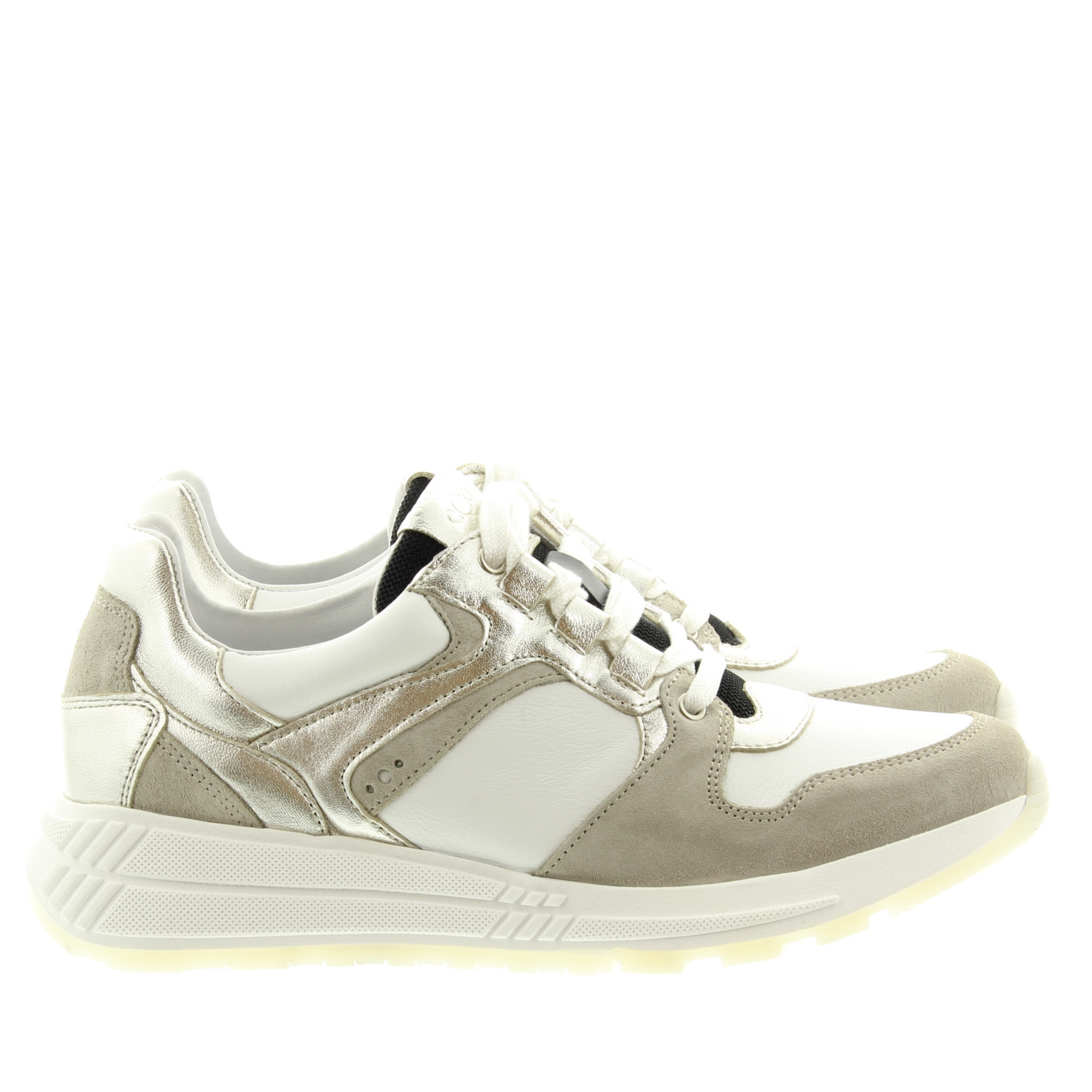 AQA A8725 A49 Gray Champagne