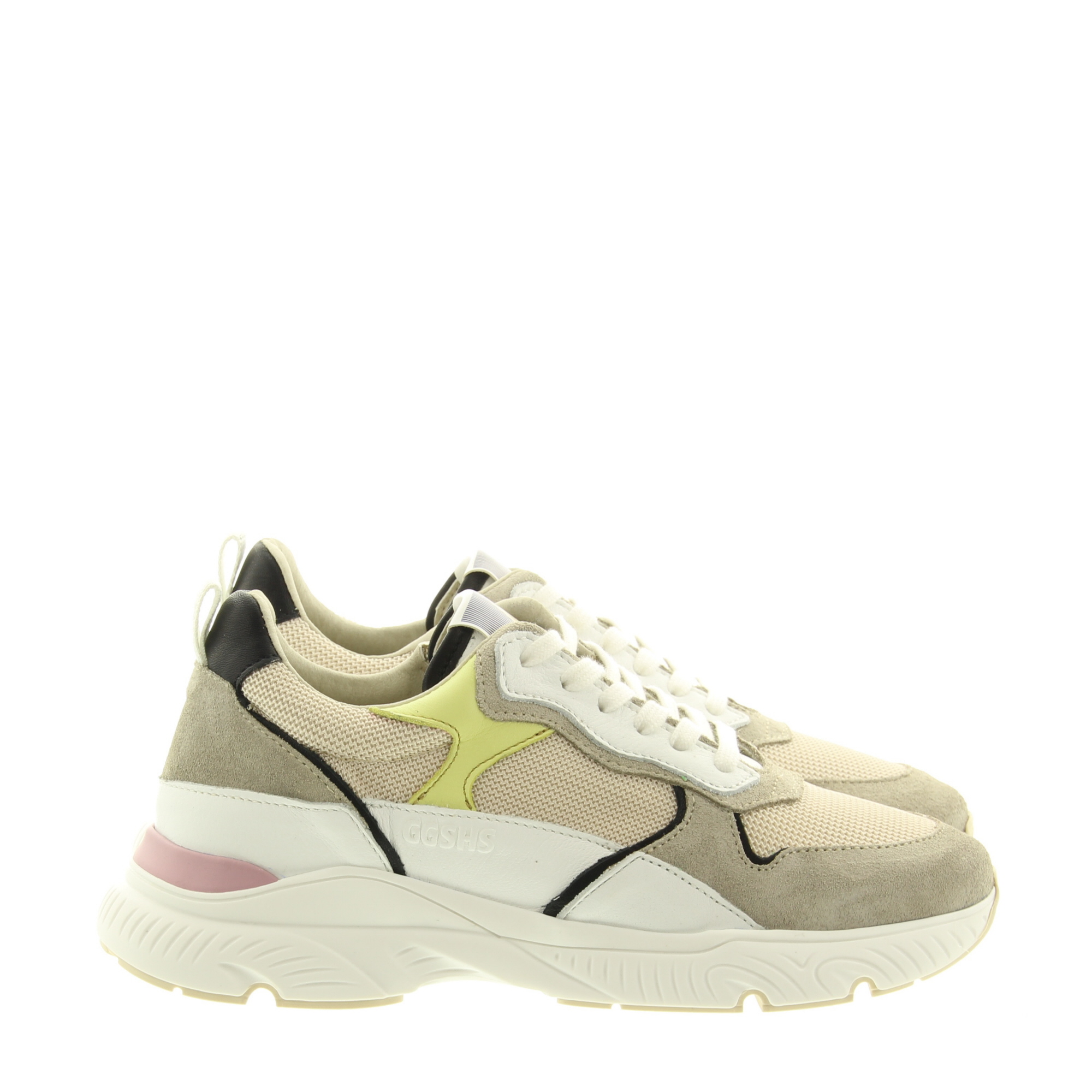 Giga G4101 A81D13 Gray Dragon