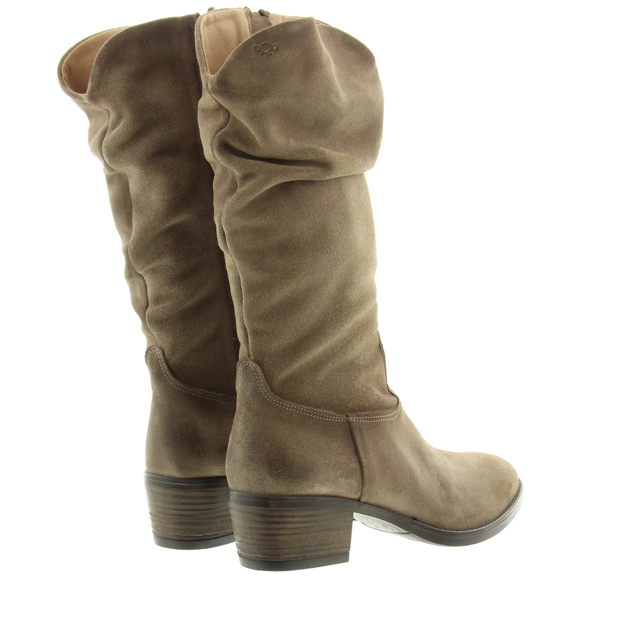 AQA A8815 A54.000 Dodo