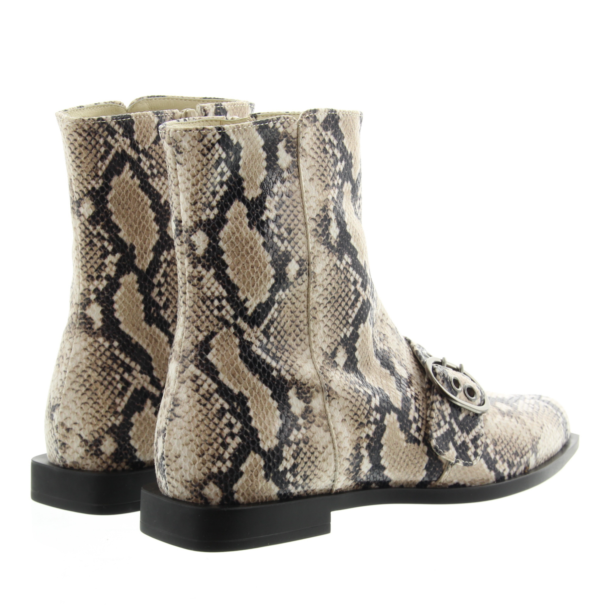 DL Sport 7053 vers. 02