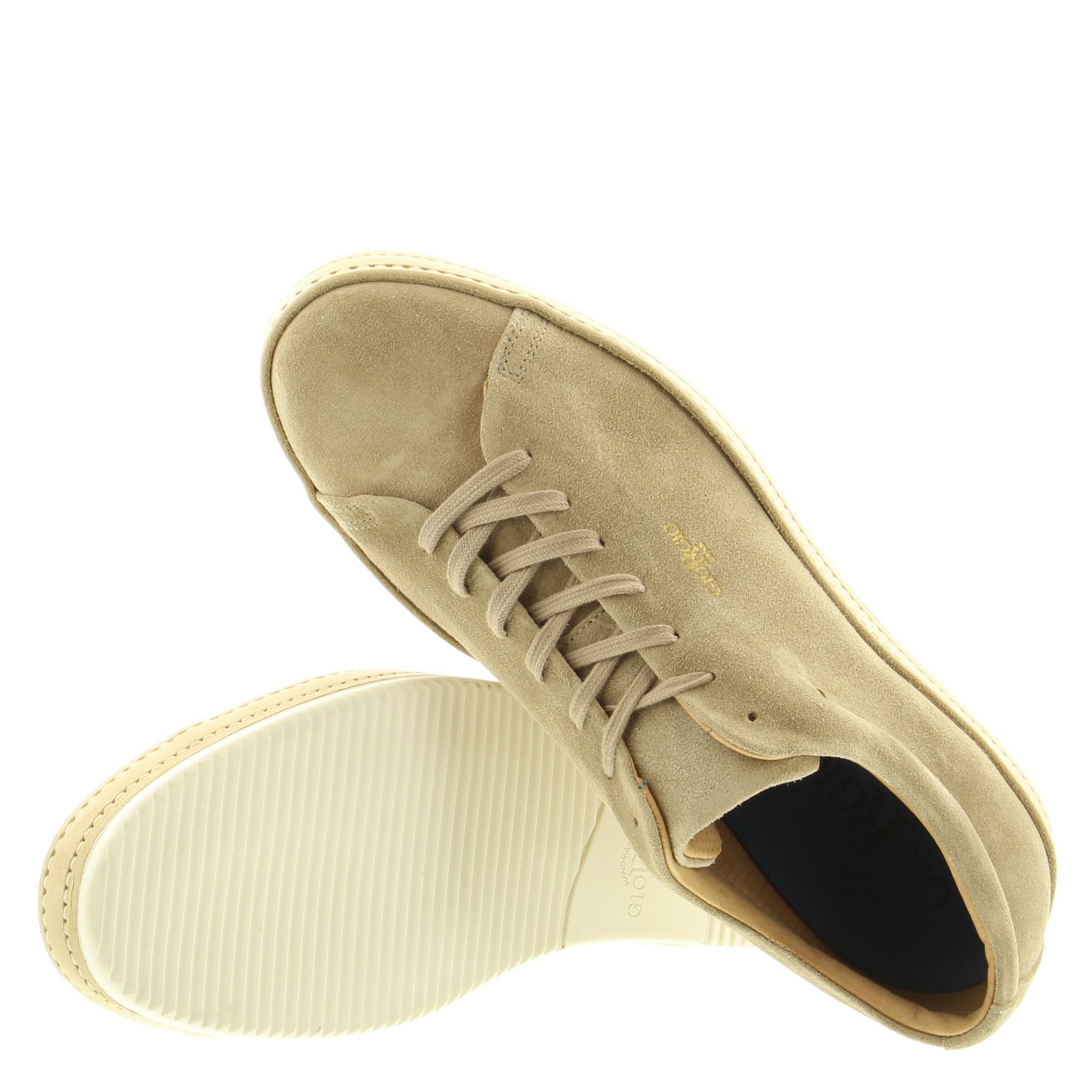 Giorgio 76004/04 537 Daino Giorgio 76004/04 537 Daino