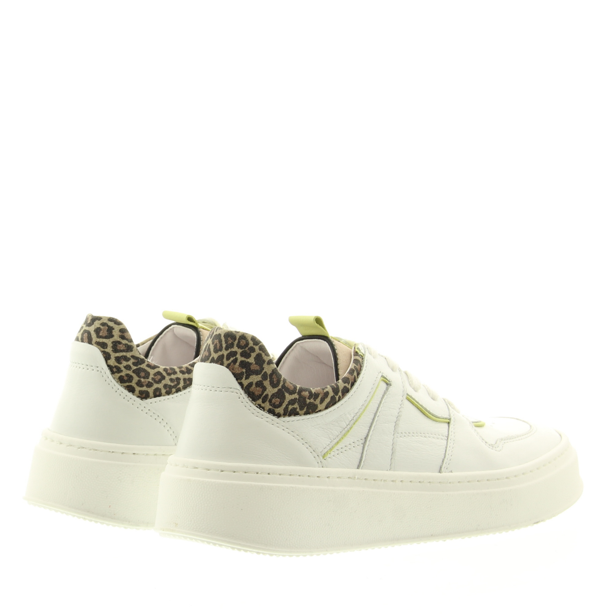 Giga G4136 A11A14 Opt.White Cel.Juice