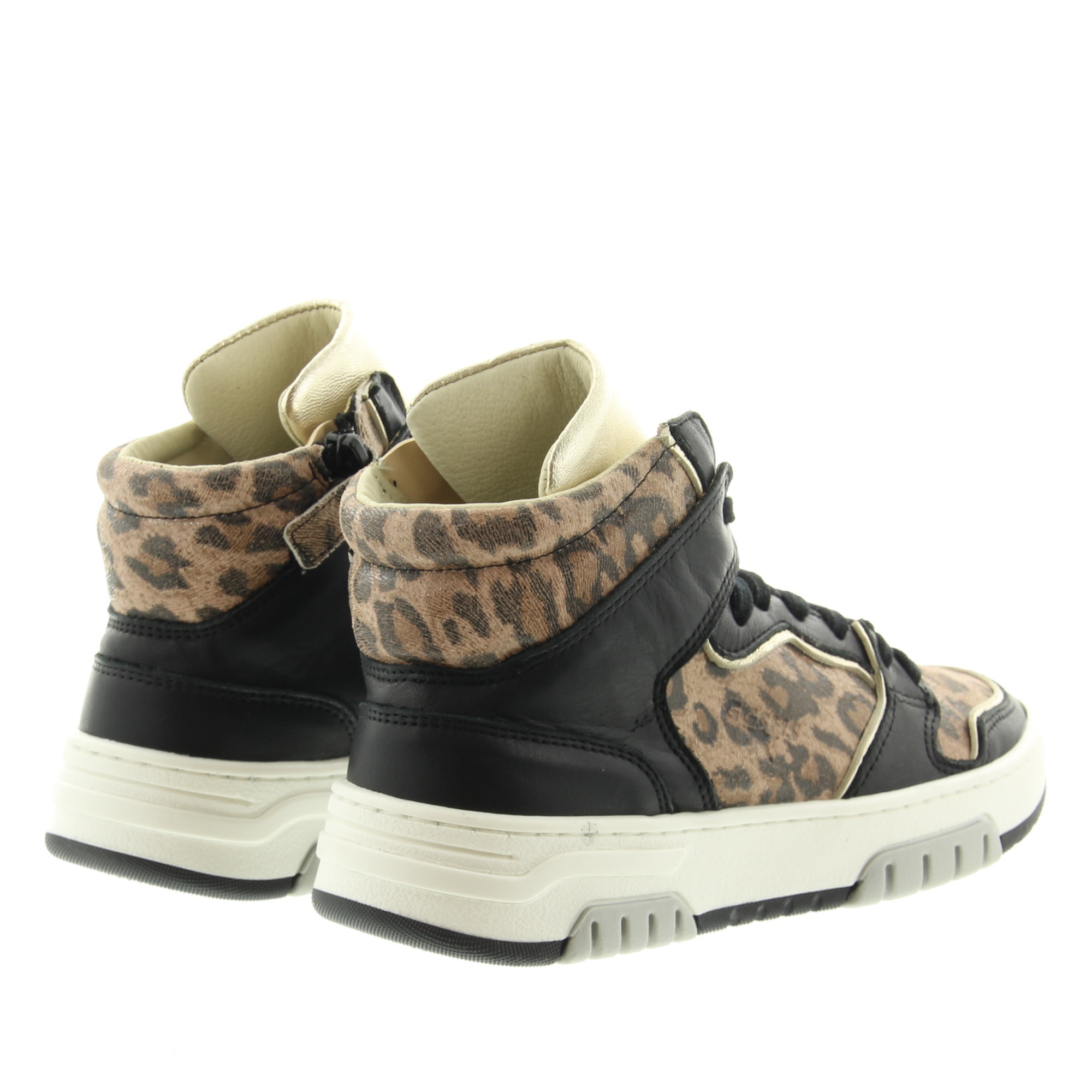 Giga G4455 A36B12 Black Platino