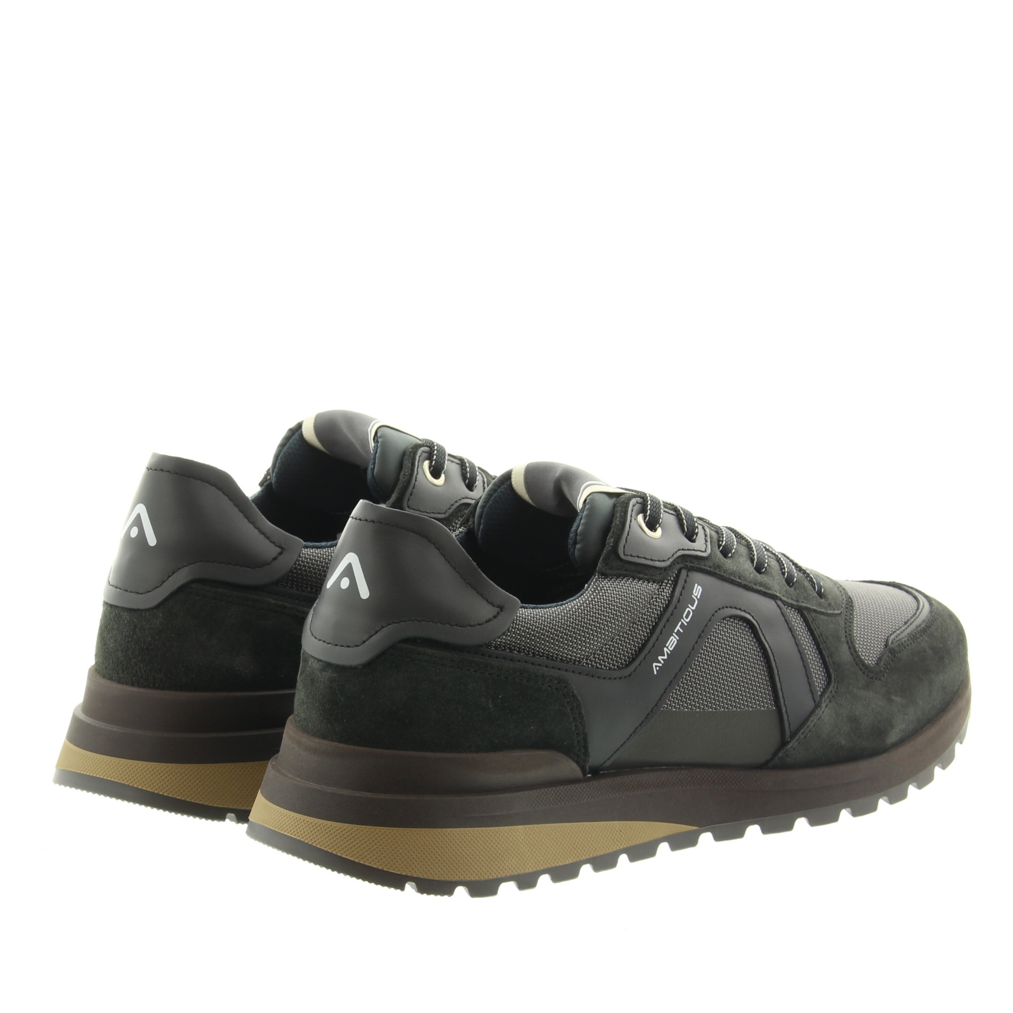 Ambitious 14146 Teddy Black Ambitious 14146 Teddy Black