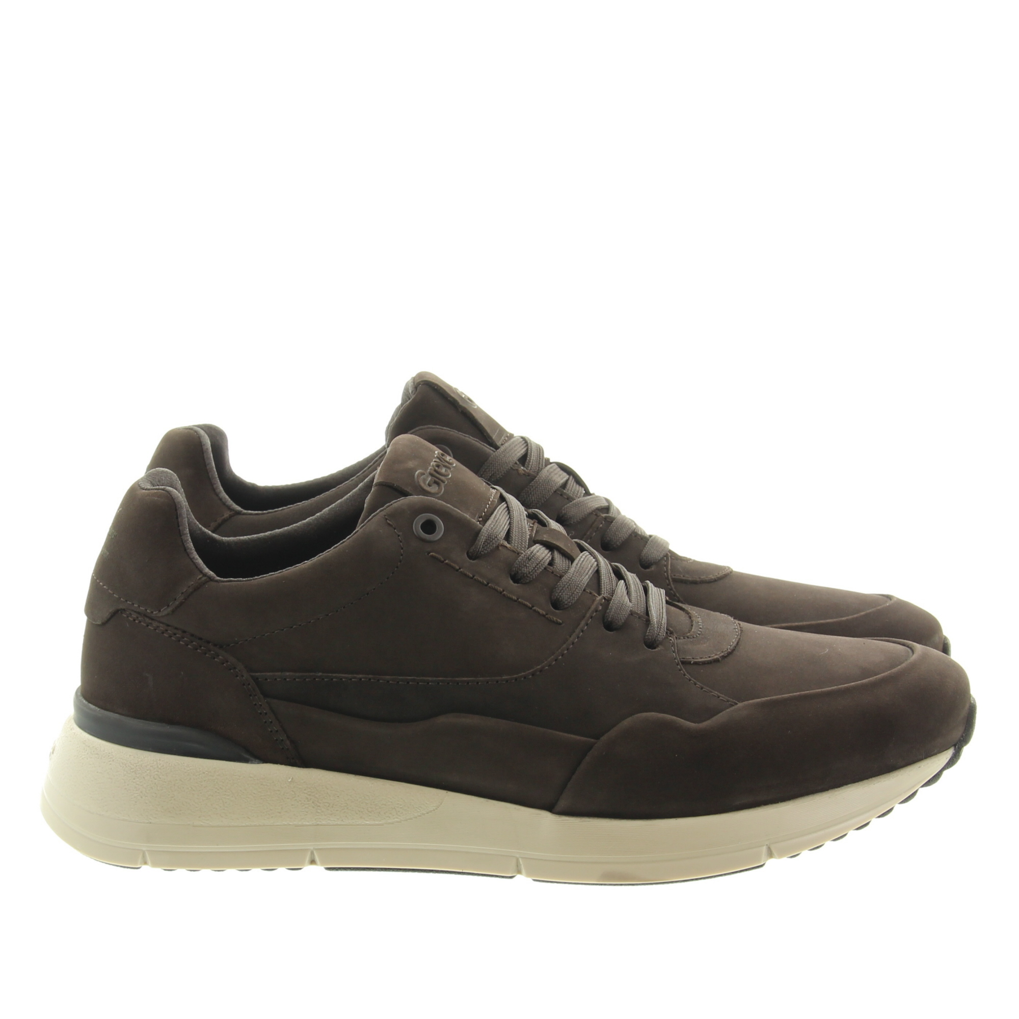 Greve 3288.01 Walker-K 3433 Mustang