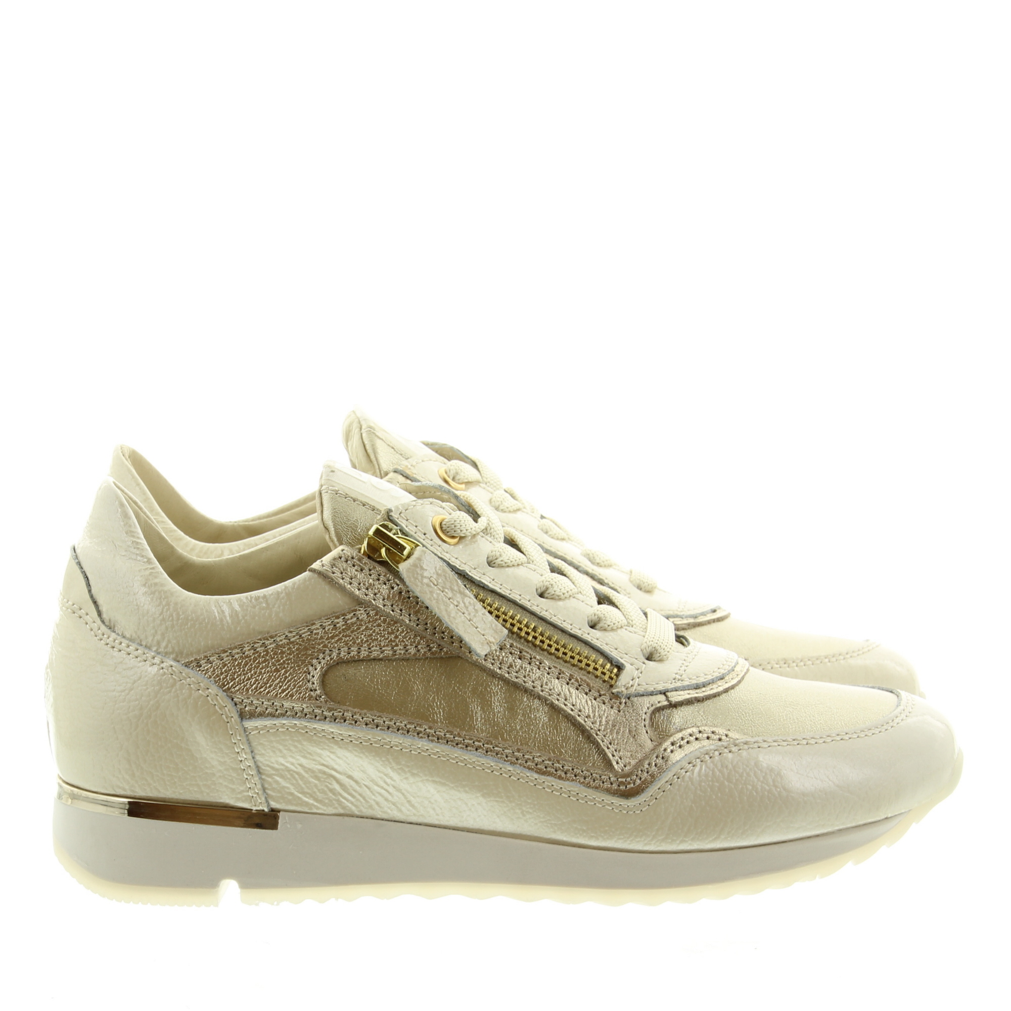 DL Sport 6920 vers. 8