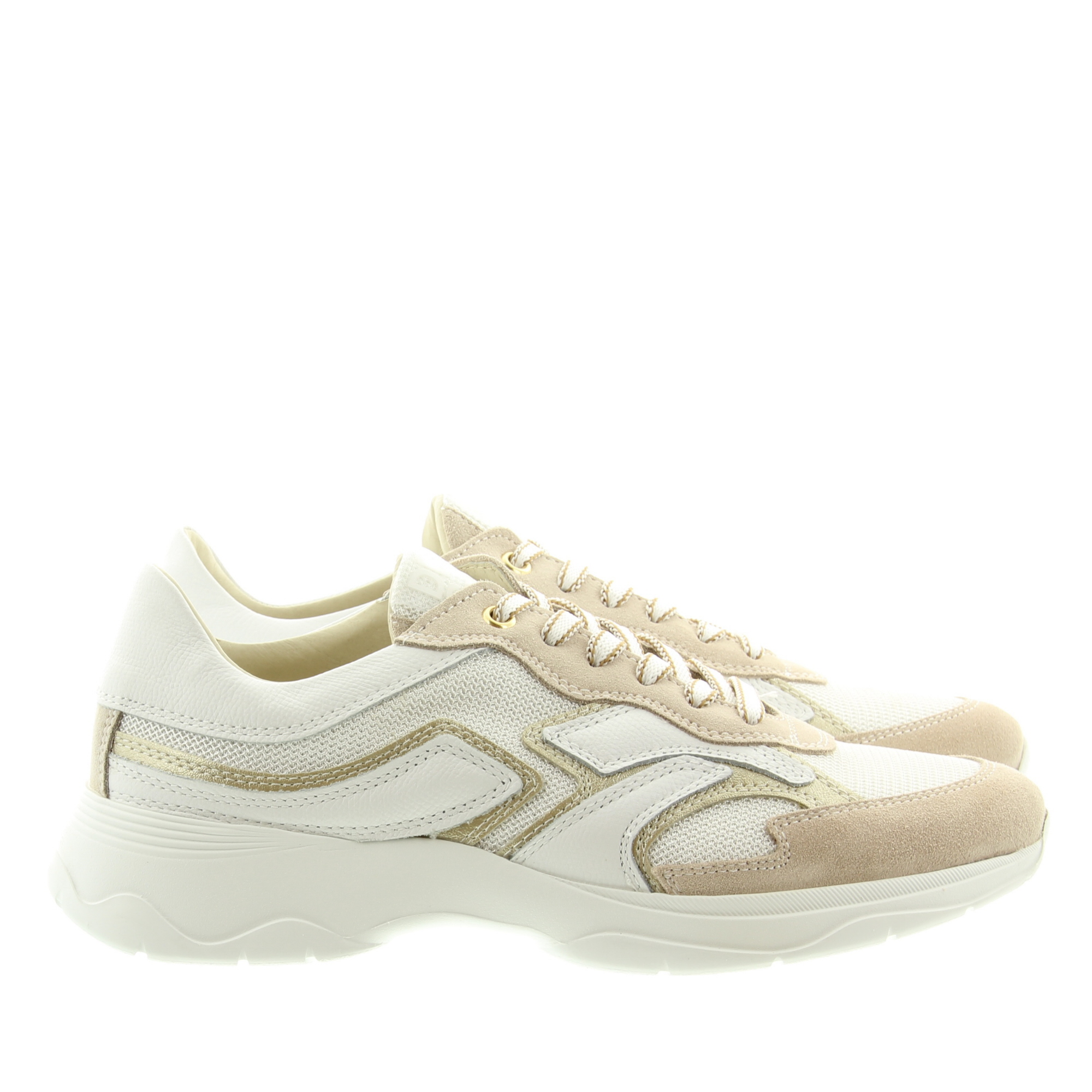 DL Sport 6540 Vers. 01 Sheer