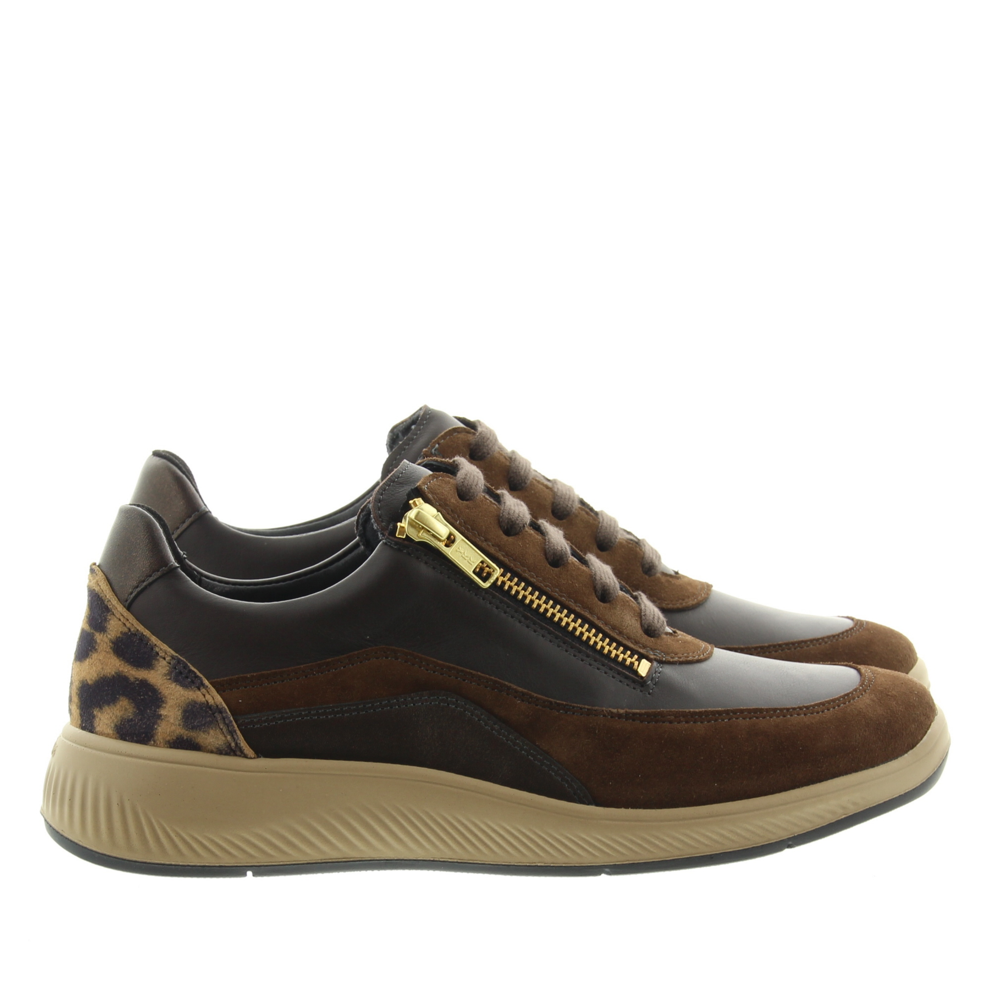 Solidus 56287 Halea 30787 Brown