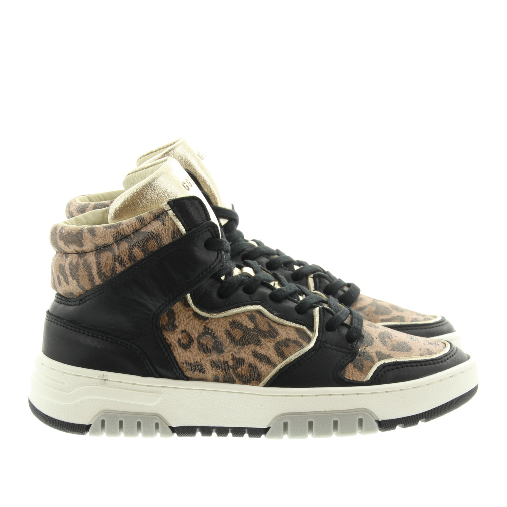 Giga G4455 A36B12 Black Platino